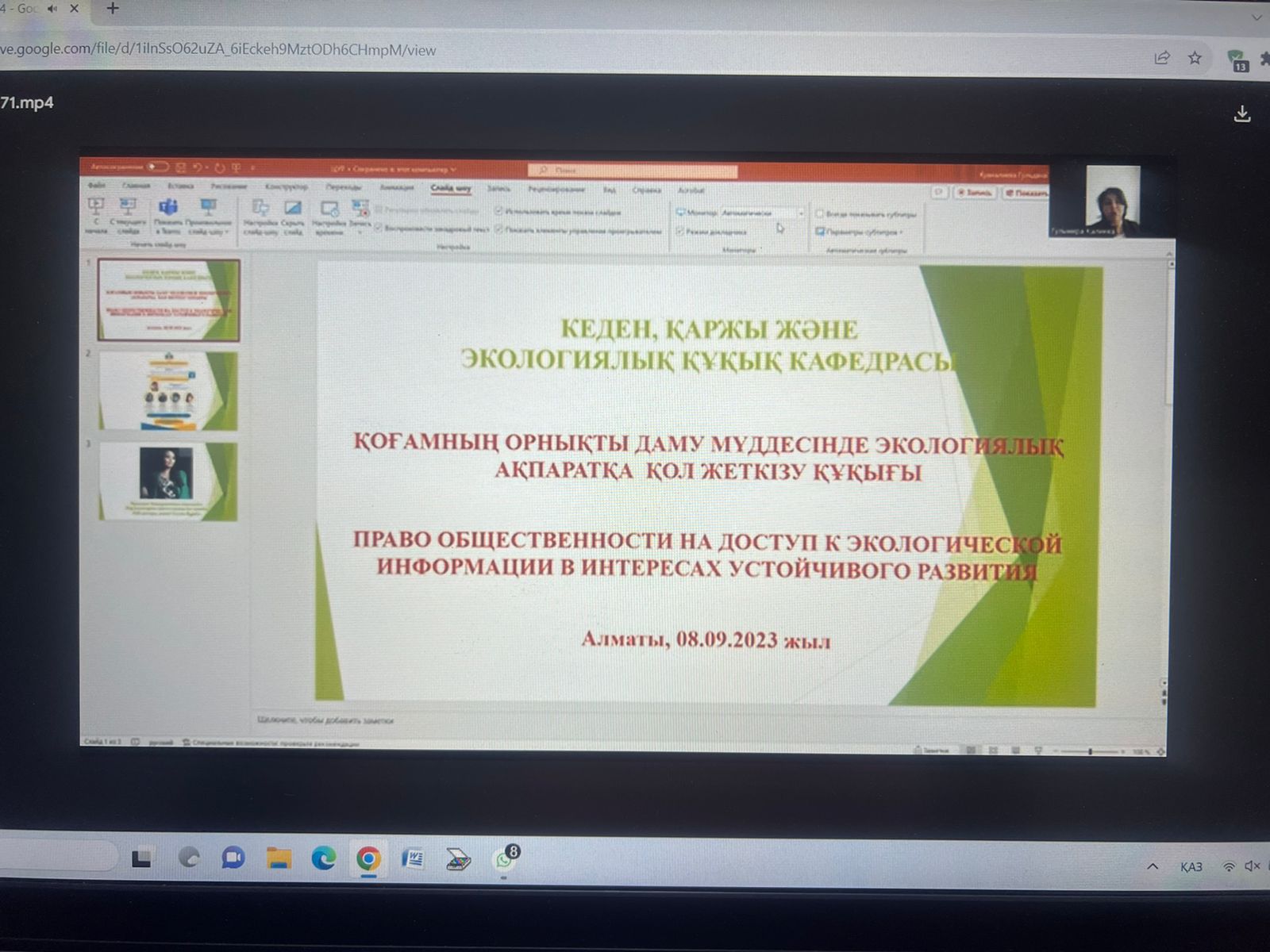 "The right of the public to access environmental information in the interests of sustainable development".